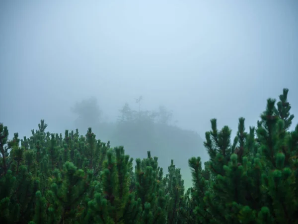 Ködös Hegyi Túraútvonal Hideg Ősszel Kaland Természetben — Stock Fotó