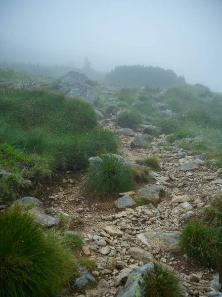 Nebbioso Sentiero Montagna Autunno Freddo Avventura Nella Natura — Foto Stock