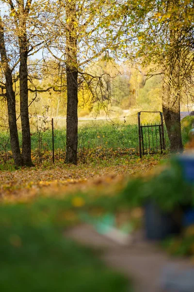 Goldener Herbst Naturlehrpfad Bei Sonnigem Herbsttag Auf Dem Land — Stockfoto
