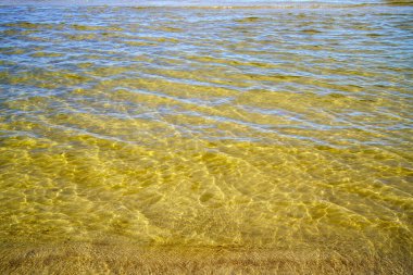 Güneşli bir yaz gününde, baltık sahili. Mavi gökyüzü, beyaz bulutlar ve hiç insan yok.
