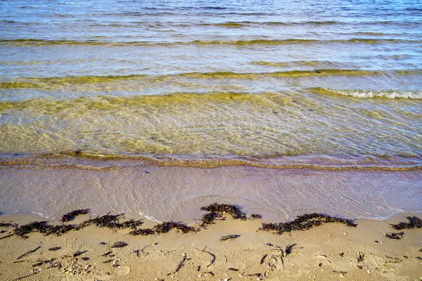 Praia Baltic Lado Mar Dia Ensolarado Verão Com Céu Azul — Fotografia de Stock