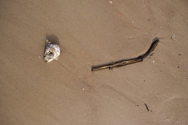 Kum plajı kayalar ve tahta çubuklarla özetlenmiş.