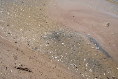 Kum plajı kayalar ve tahta çubuklarla özetlenmiş.