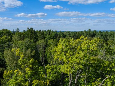 Yazın mavi gökyüzü ve yüksek kontrastlı kırsal bölgede beyaz yağmur bulutları