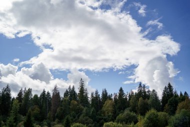 Yazın mavi gökyüzü ve yüksek kontrastlı kırsal bölgede beyaz yağmur bulutları