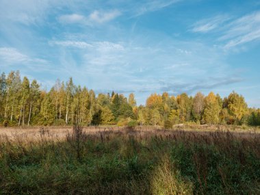 Yazın mavi gökyüzü ve yüksek kontrastlı kırsal bölgede beyaz yağmur bulutları