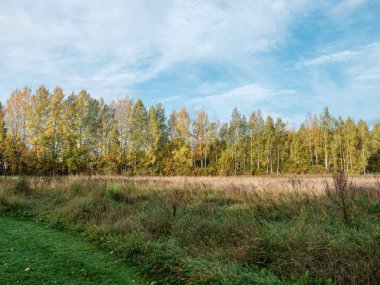 Yazın mavi gökyüzü ve yüksek kontrastlı kırsal bölgede beyaz yağmur bulutları