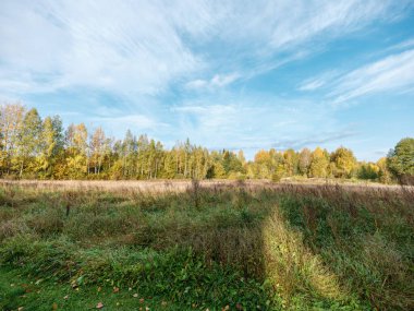 Yazın mavi gökyüzü ve yüksek kontrastlı kırsal bölgede beyaz yağmur bulutları
