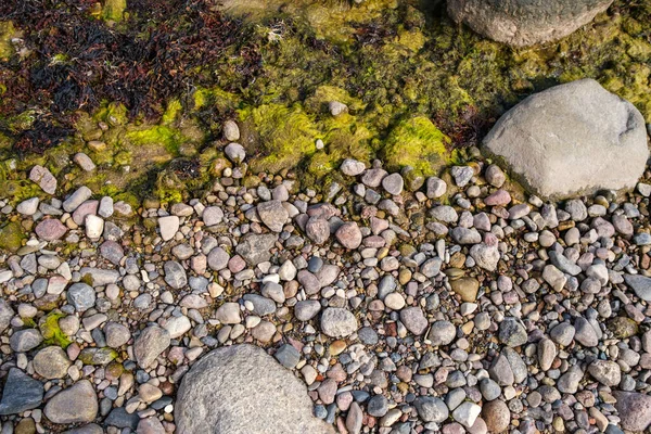Текстура Песчаного Пляжа Абстрактная Камнями Деревянными Палками — стоковое фото