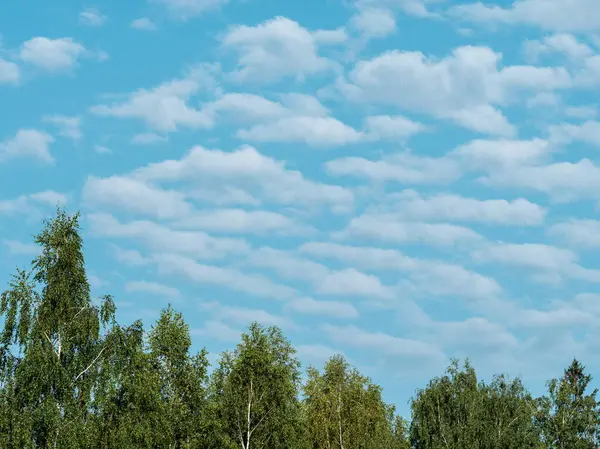 Белые Дождевые Облака Над Сельской Местностью Летом Голубым Небом Высоким — стоковое фото