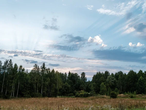 Hvide Regnskyer Landskabet Sommeren Med Blå Himmel Høj Kontrast - Stock-foto