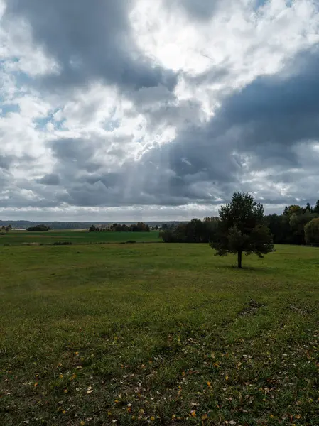 Белые Дождевые Облака Над Сельской Местностью Летом Голубым Небом Высоким — стоковое фото