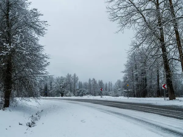 Snötäckta Fält Med Frusna Växter Och Djurspår Kalla Vinterdagar — Stockfoto