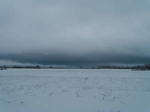 Câmpuri Acoperite Zăpadă Plante Înghețate Trasee Animale Ziua Rece Iarnă — Fotografie, imagine de stoc