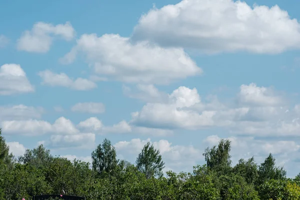 Nuvens Chuva Branca Sobre Campo Verão Com Céu Azul Alto — Fotografia de Stock