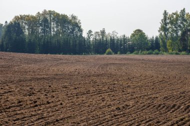 tarım tarlaları yazın tarla sürmeye hazır, kahverengi zemin