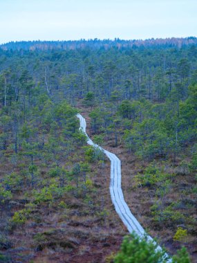 Bataklık sulak arazileri doğal enerji alanı toplamak için kullanılır.