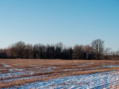 Soğuk kış gününde, kar ve buzla kaplı kırsal alan.