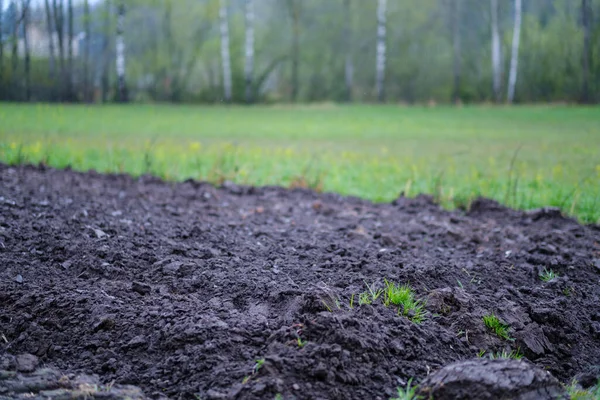 茶色の地面のための準備ができた農業分野 — ストック写真