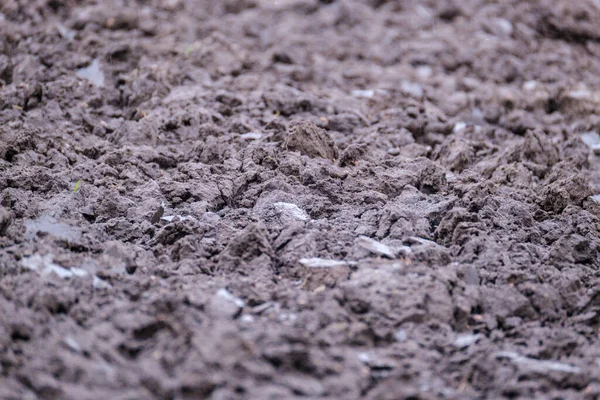茶色の地面のための準備ができた農業分野 — ストック写真