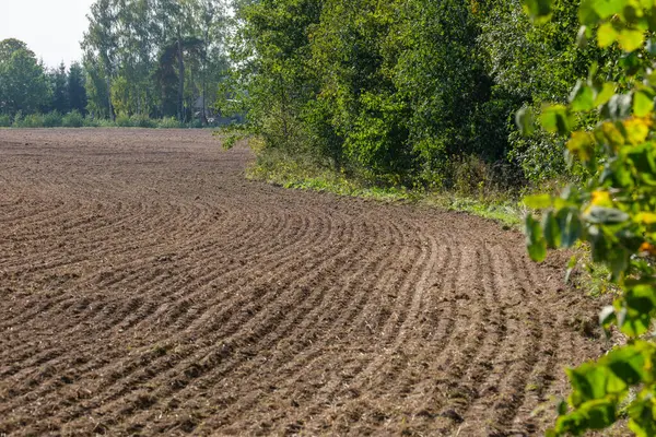 Zemědělská Pole Připravená Orání Hnědá Půda Létě — Stock fotografie