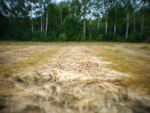 Tarım Tarlaları Yazın Tarla Sürmeye Hazır Kahverengi Zemin — Stok fotoğraf