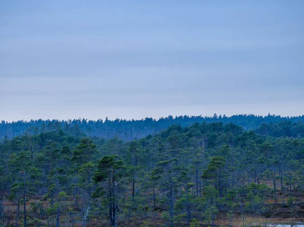 Träsk Våtmarker Landskap För Att Samla Torv Naturliga Energifält — Stockfoto