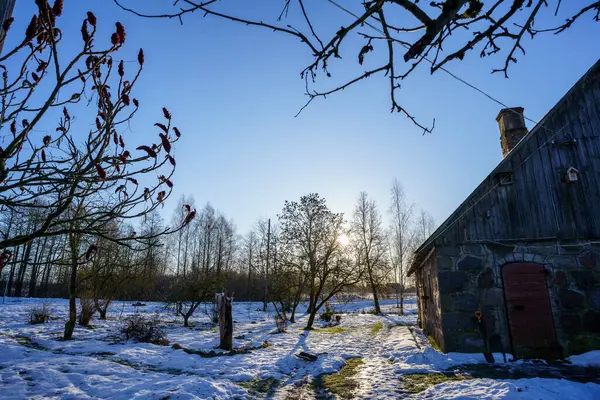 寒い冬の日 雪と氷が凍った田舎風景 — ストック写真