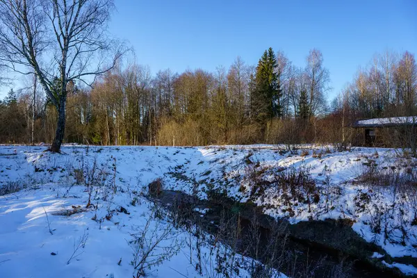 寒い冬の日 雪と氷が凍った田舎風景 — ストック写真
