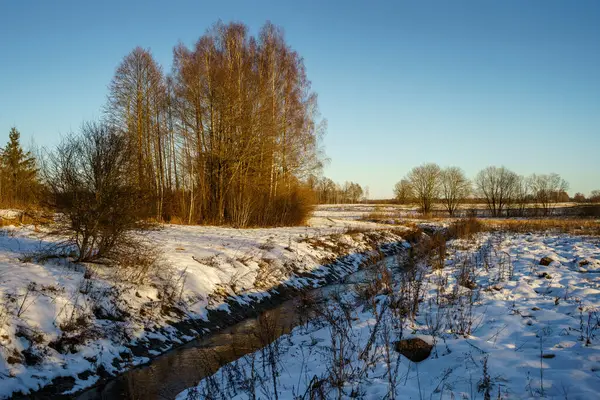 寒冷冬日的乡村风景 冰雪结冰 — 图库照片