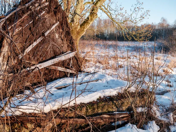 Landschap Koude Winterdag Met Sneeuw Ijs Bevroren — Stockfoto