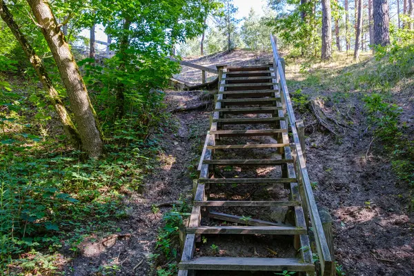 Turis Hiking Trail Hutan Musim Gugur Latvia Dengan Daun Pohon — Stok Foto