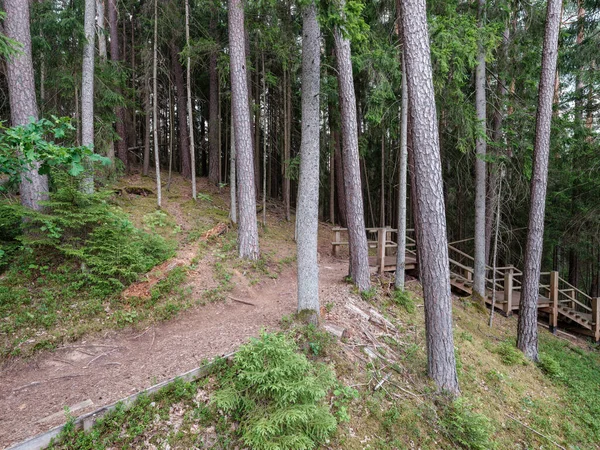 Turistické Turistické Stezky Podzimním Lese Latvii Zlatými Listy Stromů Slunečními — Stock fotografie