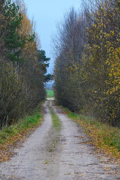 秋の後半の砂利の田舎道 — ストック写真