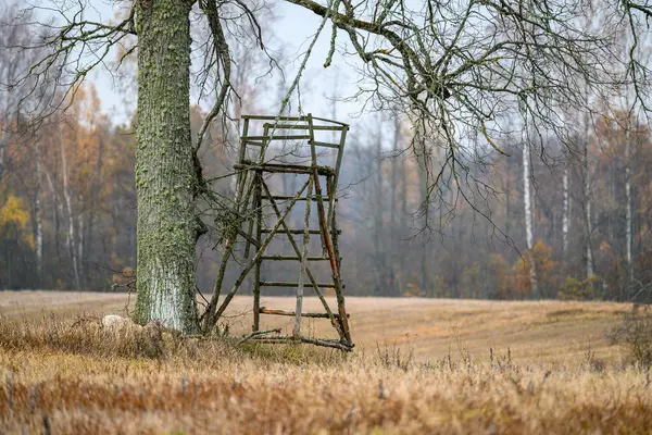 秋末田里的木制狩猎了望塔空荡荡 — 图库照片