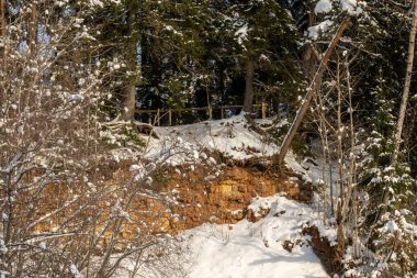 Donmuş çimenler ve dallarla kışın karın içinde soyut doğa parçaları.