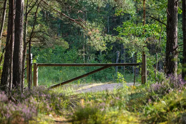 Vieille Clôture Bois Dans Jardin Campagne Avec Des Planches Pourries — Photo