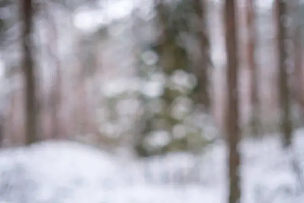 Abstrakcyjne Fragmenty Natury Zimą Śnieg Mrożoną Trawą Gałęziami — Zdjęcie stockowe