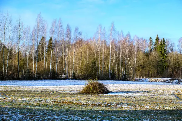 Kışın Soğuk Karla Donmuş Tarım Arazileri — Stok fotoğraf