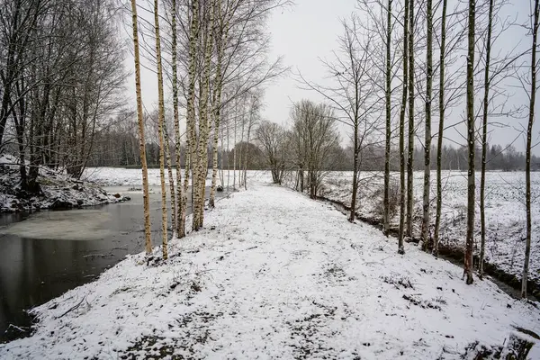 Nahe Zugefrorenem Fluss Spätherbst Mit Nackten Bäumen Und Etwas Schnee — Stockfoto