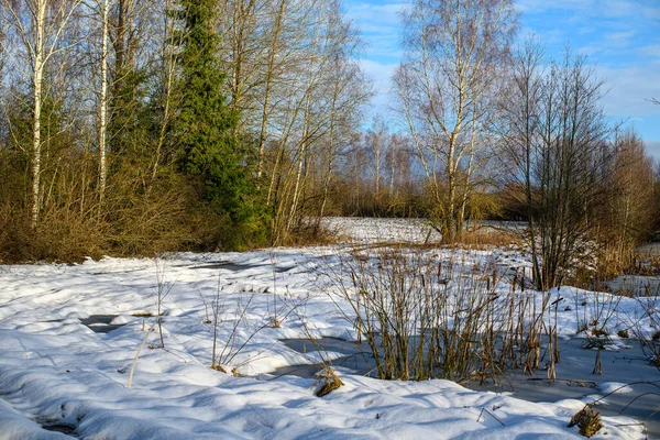 Zamrzlé Zemědělské Pole Zimě Sněhem Studenou Vodou — Stock fotografie
