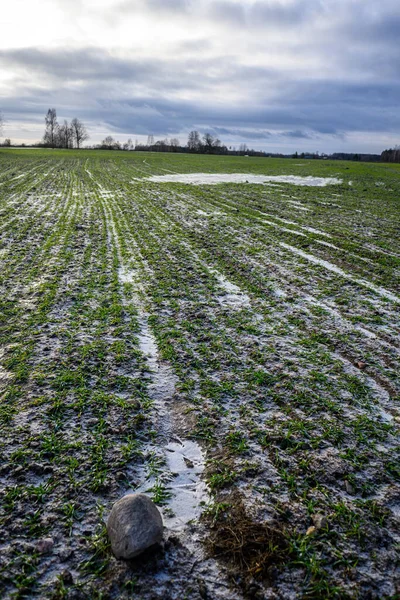 Campos Agrícolas Congelados Inverno Com Neve Água Fria — Fotografia de Stock