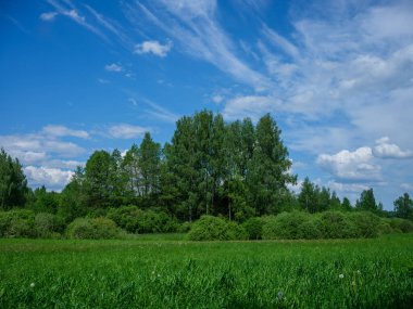 Yazın yeşil tarlalar üzerinde mavi gökyüzü olan kırsal alanlar.