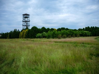 Yazın yeşil tarlalar üzerinde mavi gökyüzü olan kırsal alanlar.