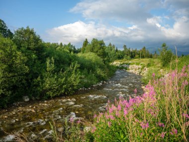 fast wild river with mountains in background in summer time clipart