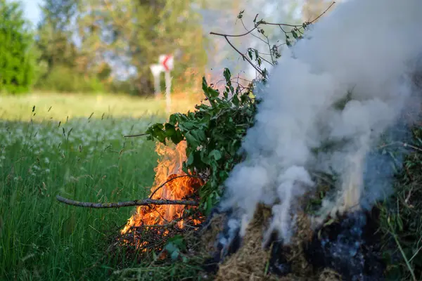 Kırsalda Büyük Bir Şömine Eski Odunları Yaprakları Yakıyor — Stok fotoğraf