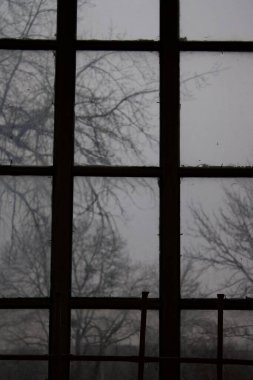 Güzel bir evin siyah beyaz fotoğrafı..