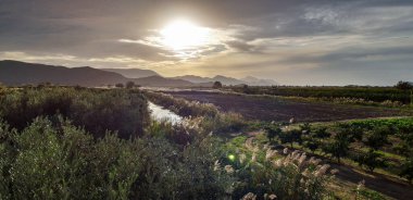 Dramatic View of a Fruit Plantation Shot From a Roof, Crepina, Croatia