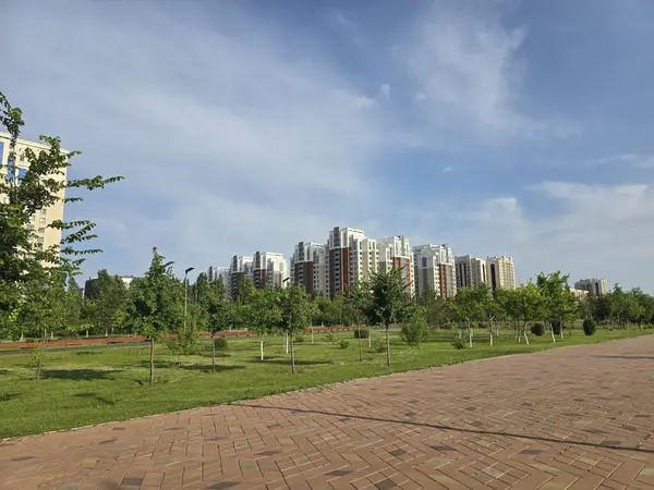 Asfaltlı bir yürüyüş yolu, yemyeşil çimenler ve modern gökyüzü altındaki yüksek binalar tarafından çerçevelenmiş genç ağaçlarla dolu manzaralı bir şehir parkı, şehir ve doğa tasarımları için ideal..