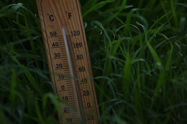 Wooden weather thermometer in green grass. The concept of weather forecasting. Outdoor and indoor thermometer with Fahrenheit and Celsius graduations.